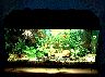Aquarium_09.jpg