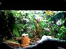 Aquarium_17.jpg