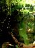 Aquarium_20.jpg